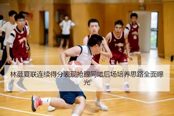 林葳夏联连续得分表现抢眼同曦后场培养思路全面曝光