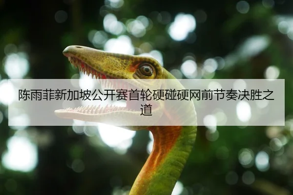 陈雨菲新加坡公开赛首轮硬碰硬网前节奏决胜之道